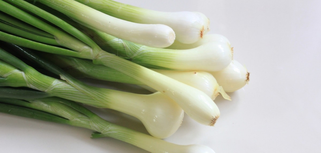 How to Eat Green Onions? This Is What Professionals Do Cooking Tips