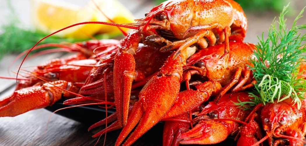 How Many Calories In Crawfish? You Would Not Have Guess Nutrition