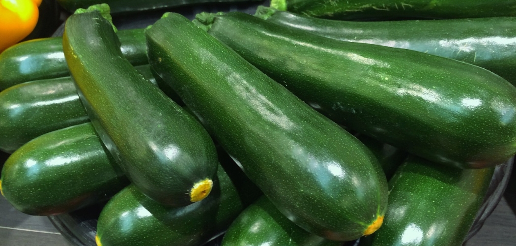 What Does Zucchini Taste Like? Real Taste Explained! Food Fact